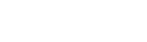 SafetyNet Ocean logo